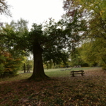 Hessenschanze - Kassel